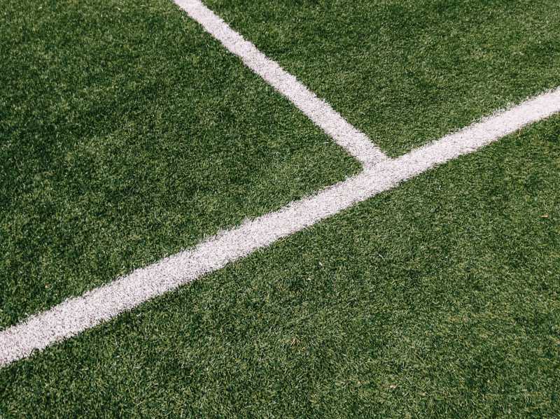 Crecimiento desbloqueado